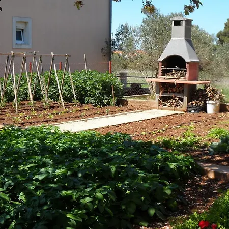 Boja 比奥格勒·纳·莫鲁