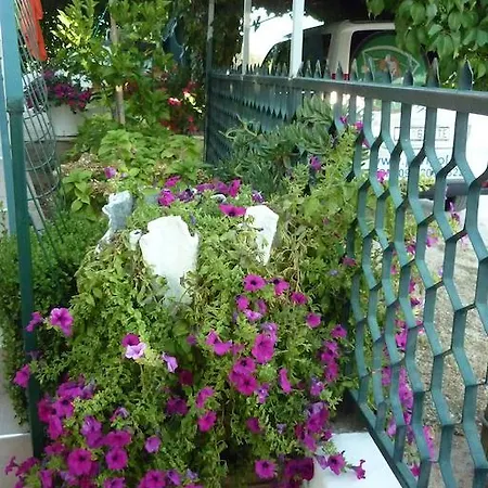 Apartament Boja
